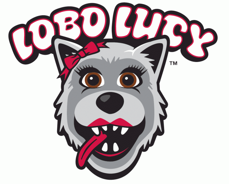 New Mexico Lobos 2009-Pres Misc Logo v2 diy DTF decal sticker